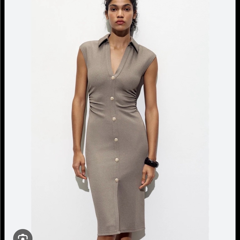 Zara Taupe Button-Front Midi Dress